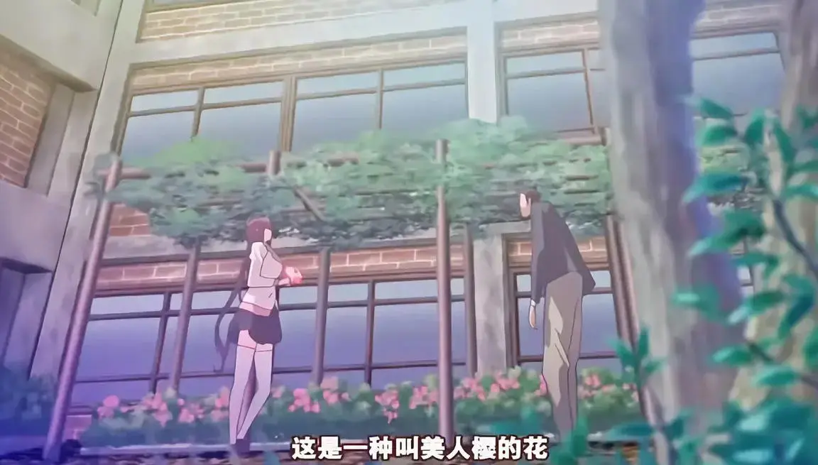 《龙堂寺士门的阴谋》未删减版！《龙堂寺士门的阴谋》全集在线看，这场战国密谋让你直呼过瘾！