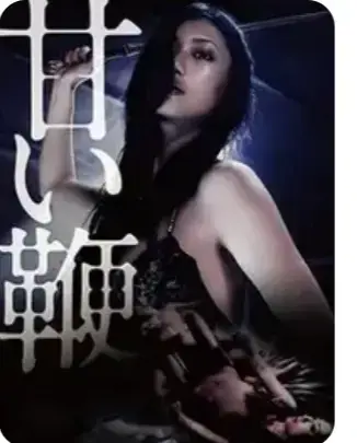 《甜蜜皮鞭》1080P未删减版在线观看，《甜蜜皮鞭》高清资源百度网盘播放